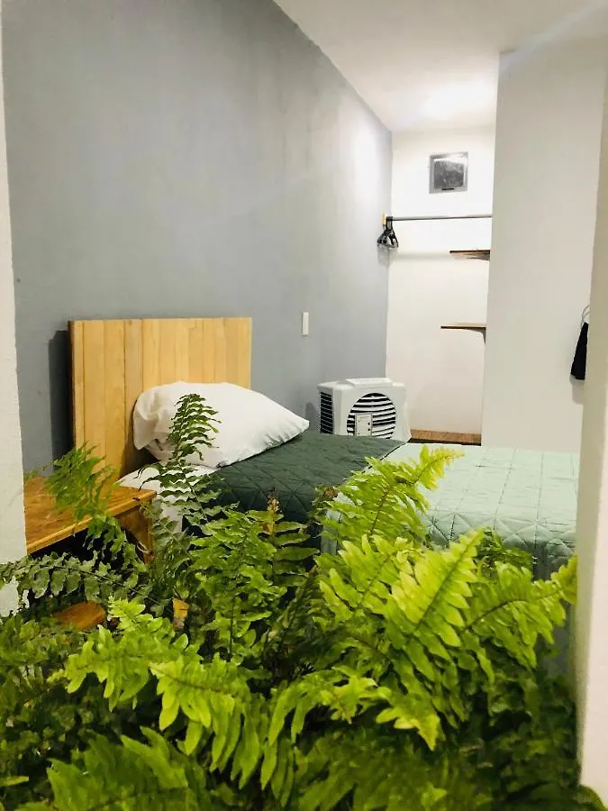 Hotel Casa Tanah Zapopan Pensión